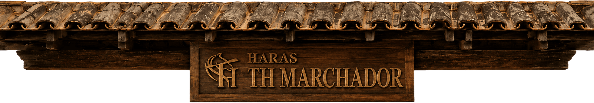 Haras TH Marchador
